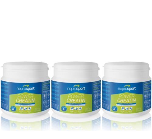 neprosport® High Protein Plus